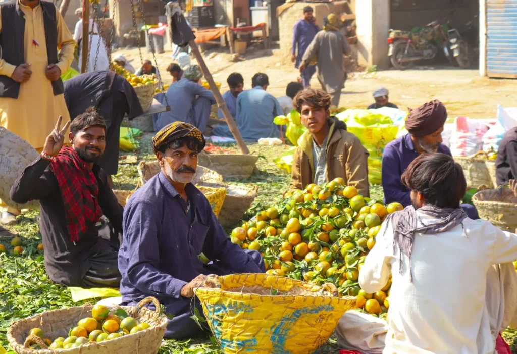 Fruit sellers sort oranges into baskets at a busy open-air market.