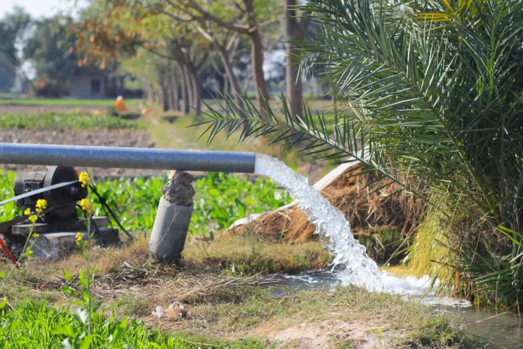 Water flows from an irrigation pipe into a green field beneath date palms.