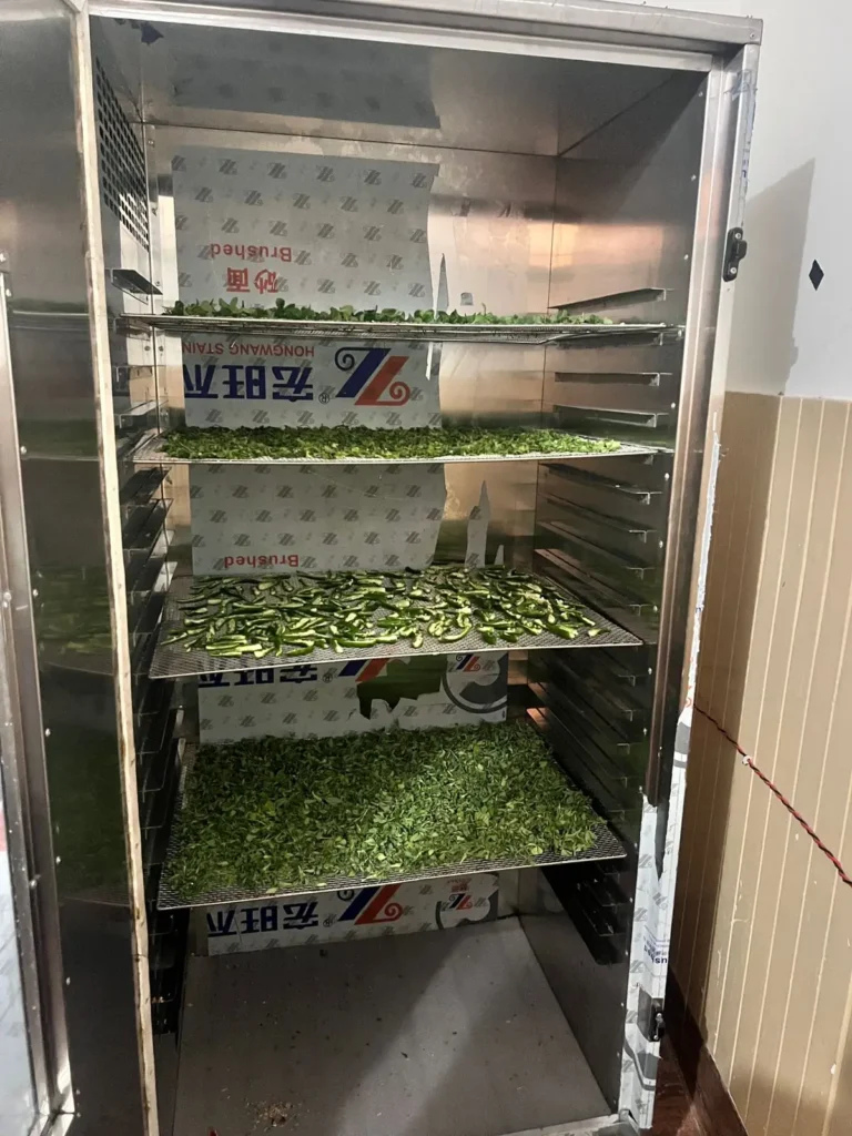 A stainless-steel dehydrator cabinet with trays of fresh green leaves and chopped greens.
