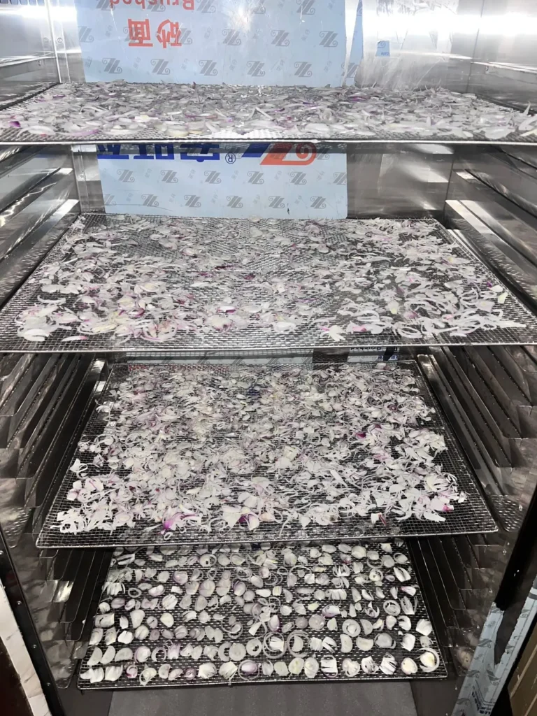 Wire trays of thinly sliced red onion stacked inside a food dehydrator.