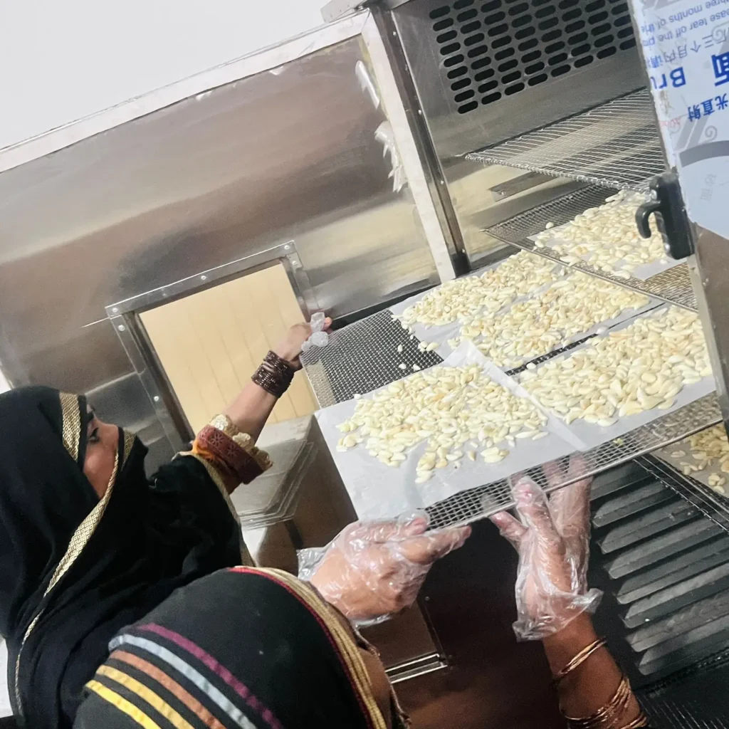 A woman in gloves slides a tray of peeled garlic cloves into a stainless-steel food dehydrator.